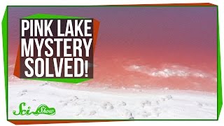 Pink Lake Mystery Solved!