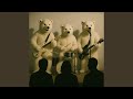 Polar Bears ruling the world