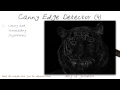 Canny Edge Detector