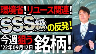 【プロがお届け】今週の狙う銘柄を大胆公開【9月12日】資産形成｜株式投資｜短期投資｜長期投資｜株価予想