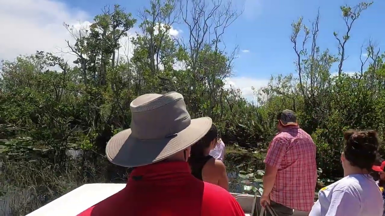 Let S Cruise The Everglades Youtube