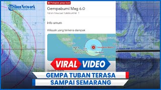 BREAKING NEWS Gempa Tuban M 6.1 Getarkan Pantura Hari Ini Terasa di Semarang dan Brebes