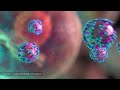 3d animation of covid 19 coronavirus