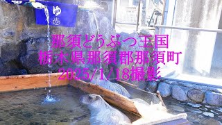 那須どうぶつ王国の動物 2025/1/18撮影