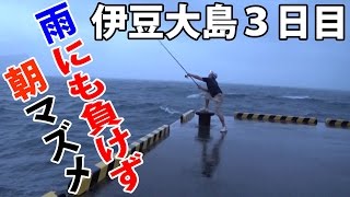 ３度目の正直！夏の伊豆大島２泊３日の釣り旅Part3