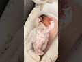 lovely new born baby sleeping moments beautiful 😍happy babies kidz view 💕 happybabieskidzview