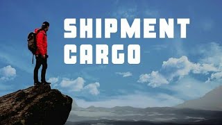 Exact meaning of the word Shipment and Cargo