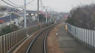 京急：河津桜三崎口→三浦海岸）