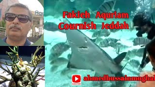 Fakieh Aquarium | Jeddah, Saudi Arabia| Biggest Aquriam of the Jeddah |