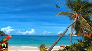 Caribbean Paradise Beach Screensaver & Ocean Waves Sounds for Sleeping, Relaxing