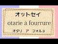 52 フランス語　単語　海にいる動物　français初級～フランス語聞き流し～