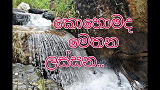 කොහොමද මෙතන ලස්සන/Panchai panchi