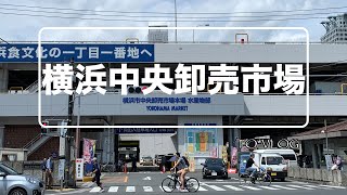 横浜中央卸売市場を視察   #横浜中央卸売市場