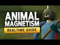 [RS3] Animal Magnetism – Realtime Quest Guide