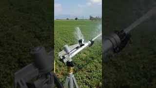 KLYN KALYON SPRINKLER 2\