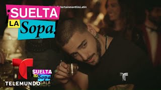 Los más nominados de los Latin American Music Awards | Suelta La Sopa | Entretenimiento