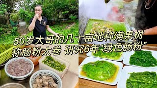 50岁大哥几十亩地种满果树：称潮汕肠粉太卷，6年专研究绿色肠粉 #朴籽肠粉 #绿色肠粉 #潮汕肠粉