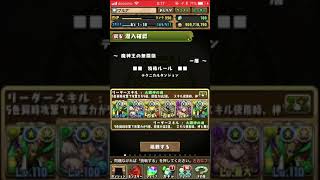 【パズドラ】魔神王の無間獄 1層 転生ラー