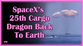 Who's Trying to Stop SpaceX's Starlink 2nd Generation Satellite? | Starbase Pink