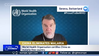 How did China achieve malaria-free status?