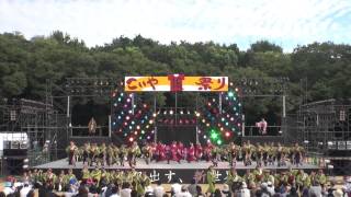 2015 9 12　こいや祭り　メイン会場　大阪市立大学チーム朱蘭