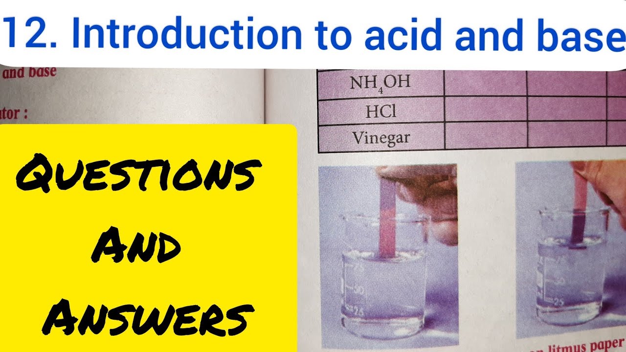 8 Std - 12. INTRODUCTION TO ACID AND BASE QUESTIONS AND ANSWERS ...