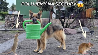 UDAŁO SIĘ! Złapaliśmy go!