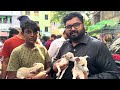 discover chennai pets market exotic pets breeds maintenance and pricing