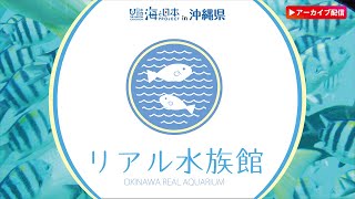 【2021年11月14日】リアル水族館　沖縄の海をお届け♪　ブセナ海中公園からライブ配信中♪| OKINAWA REAL AQUARIUM |