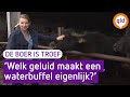 De boer is troef 20 april 2016 - Buffelboer