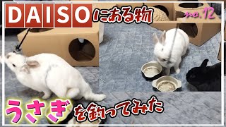 DAISOにある物を使ってうさぎを釣ってみた　【NO.12】