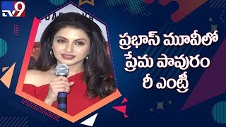 Actress Bhagyashree bags a crucial role in Prabhas 20th movie - TV9