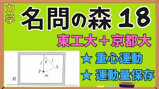 【高校物理】『名問の森』解説18〈力学〉保存則 ※字幕付き