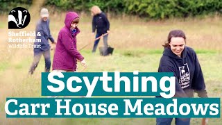 Traditional Scything at Carr House Meadows by Sheffield \u0026 Rotherham Wildlife Trust Volunteers