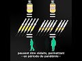 Tout comprendre sur les vaccins - A quoi servent les adjuvants dans les vaccins ?