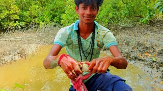 সুন্দরবন জঙ্গলের গর্ত থেকে কাঁকড়া বের করলাম/I pulled the crab out of the hole in the jungle