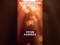 靈氣充沛廟宇擁有的八種特徵 shorts