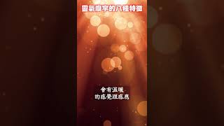 靈氣充沛廟宇擁有的八種特徵 #shorts