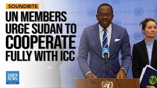 UN Members Urge Sudan To Cooperate Fully With ICC For Lasting Peace | Dawn News English