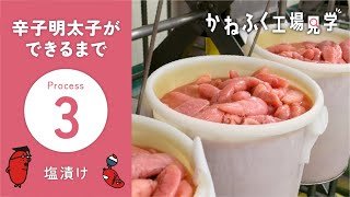 【かねふく工場見学③】塩漬け ／辛子明太子ができるまで