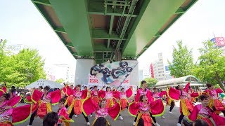 [4K] 愛知淑徳大学 鳴踊　1部 わいわい若宮 2018