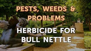 Herbicide for Bull Nettle