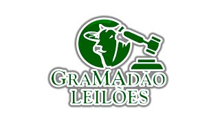 Leilão de Gado  - Gramadão Leilões - AO VIVO - 18/02/2025 - A partir das 18:00hrs