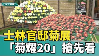 士林官邸 菊展|士林官邸「菊耀20」  11/25盛大展出