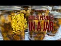 Canning BOILED PEANUTS | 2 Videos in 1| Mimsy’s Garden