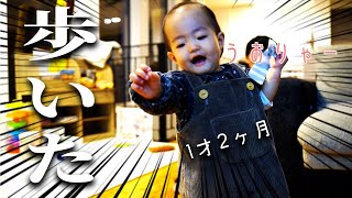 【初歩行】結局歩くか歩かないかぐらいの赤ちゃんが1番可愛い件【１才2ヶ月】