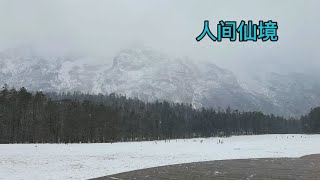 下雪的玉龙雪山，有多美？