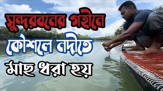 সুন্দরবনের গহীনে প্রাচীনকালের কৌশলে নদীতে মাছ ধরা হয় #সুন্দরবন #বাংলাদেশ