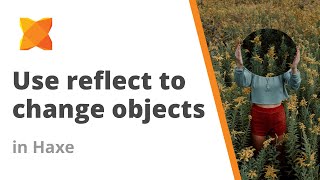 How to use the reflect API to change objects in Haxe