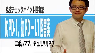 免疫チェックポイント阻害薬（抗PD 1抗体、抗PD L1抗体）